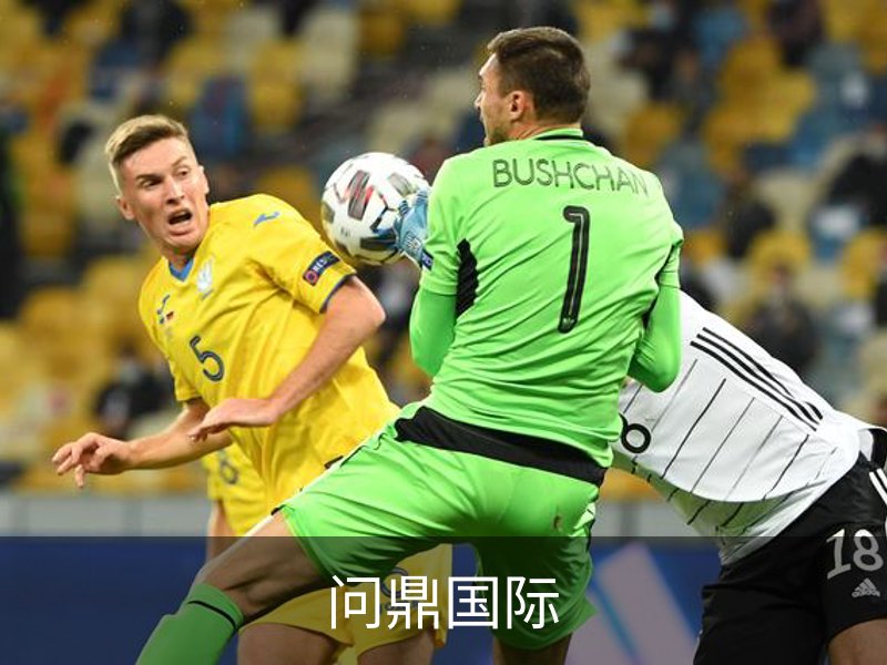 关于问鼎国际